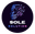 SOLE SOLUTION